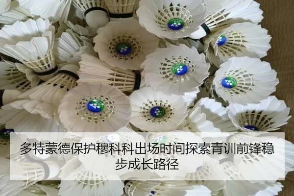 多特蒙德保护穆科科出场时间探索青训前锋稳步成长路径