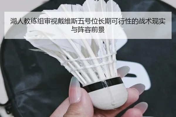湖人教练组审视戴维斯五号位长期可行性的战术现实与阵容前景